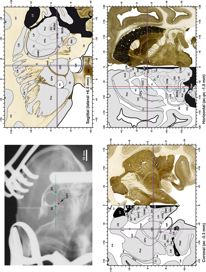 Fig. 2