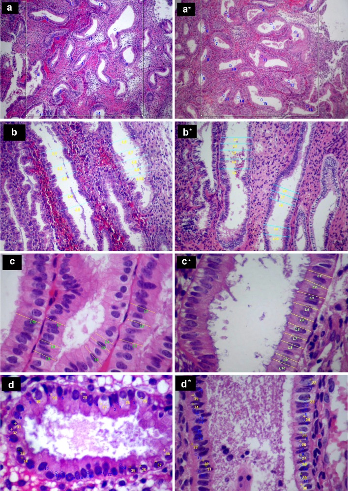 Fig. 1