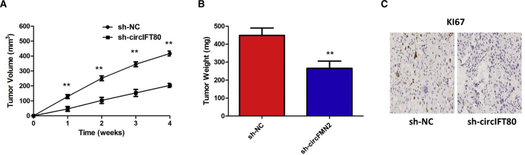 Figure 6