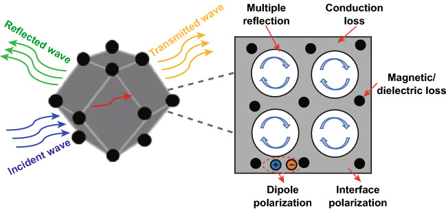 graphic file with name 40820_2020_582_Figa_HTML.jpg