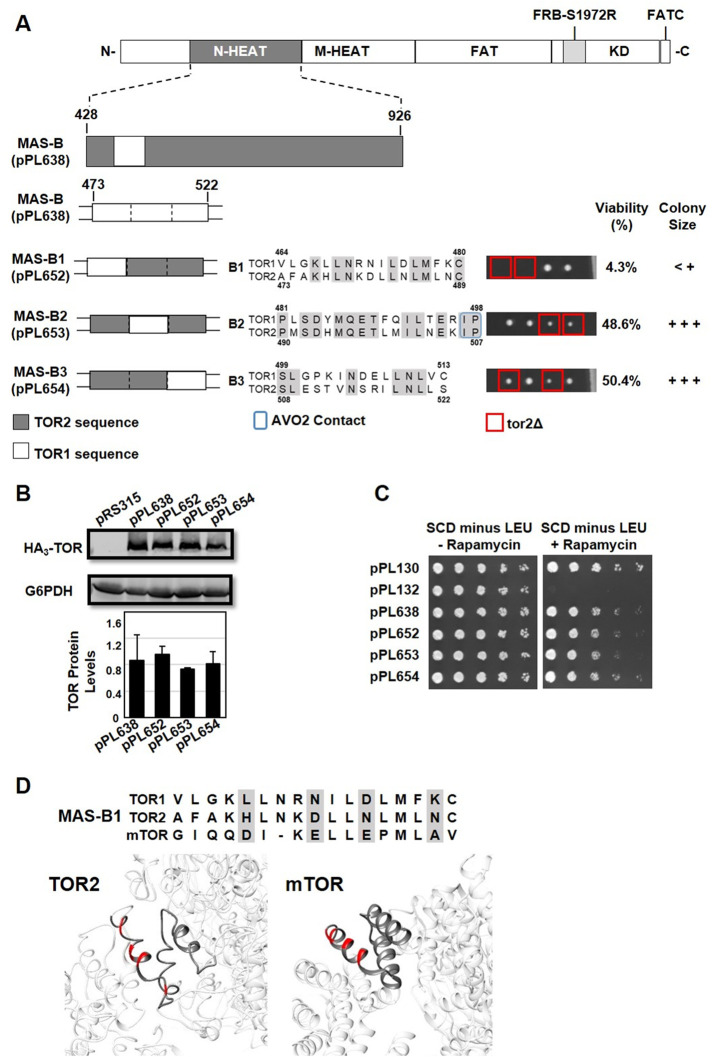 FIGURE 6: