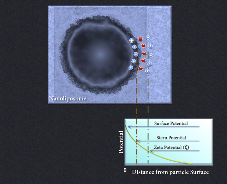 Fig. 3