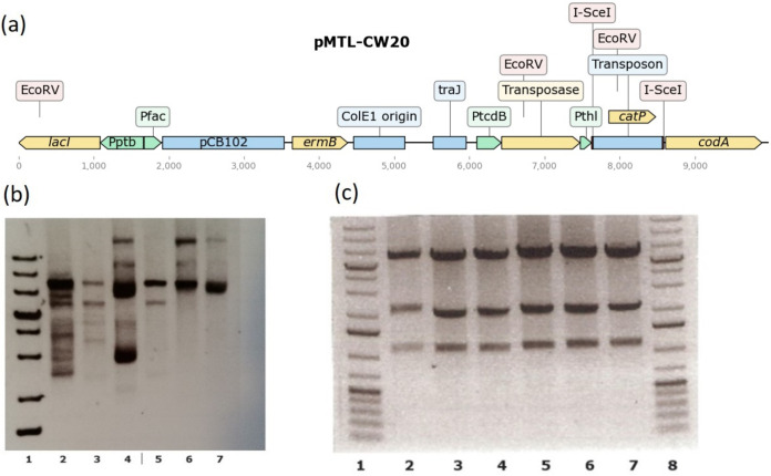 FIG 3