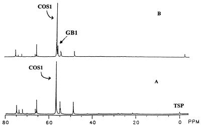 FIG. 1