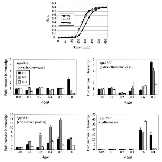 FIG. 2.