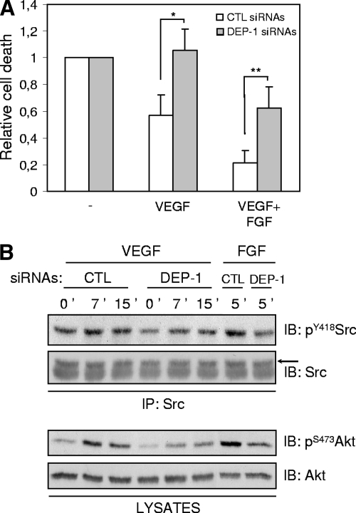 FIG. 9.