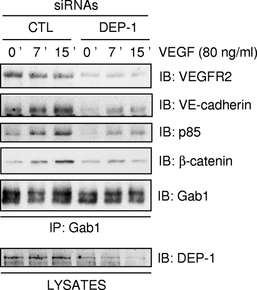 FIG. 8.