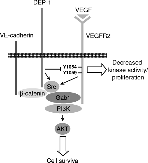 FIG. 10.