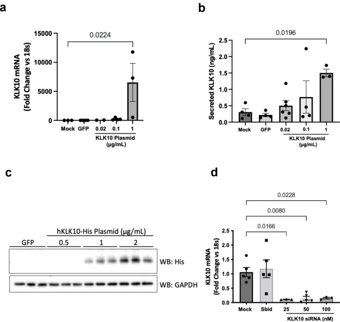 Figure 2—figure supplement 6.