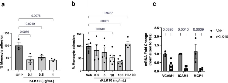 Figure 2—figure supplement 2.