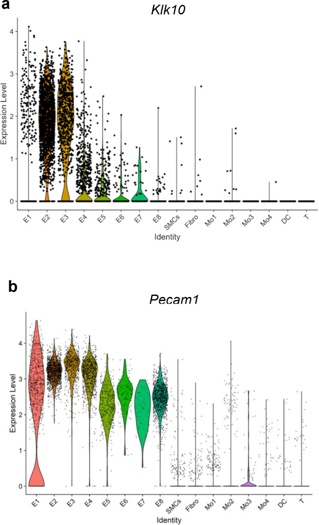 Figure 1—figure supplement 1.