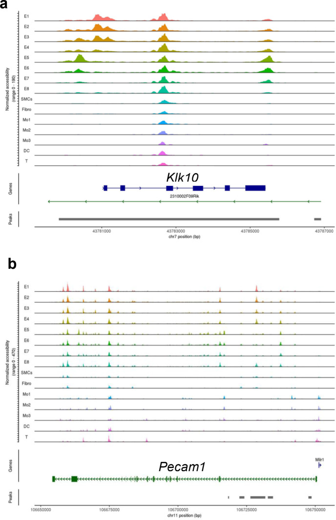 Figure 1—figure supplement 2.