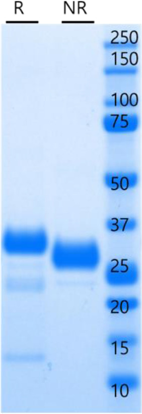 Figure 2—figure supplement 7.