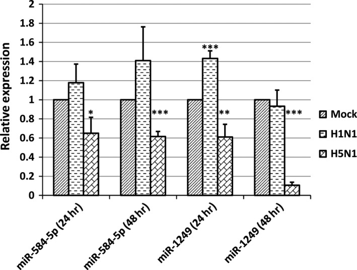 Figure 5