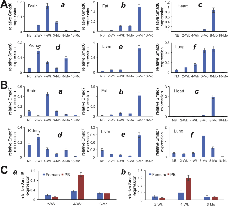 Figure 4