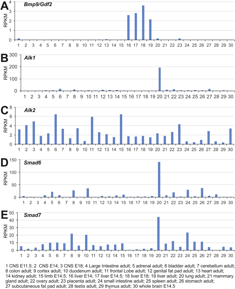 Figure 1