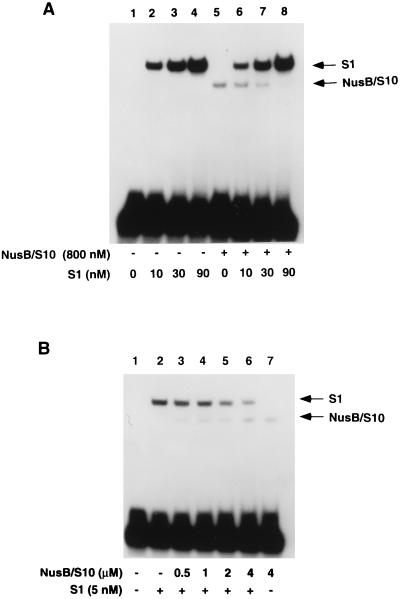 FIG. 5