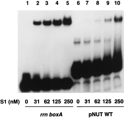 FIG. 6