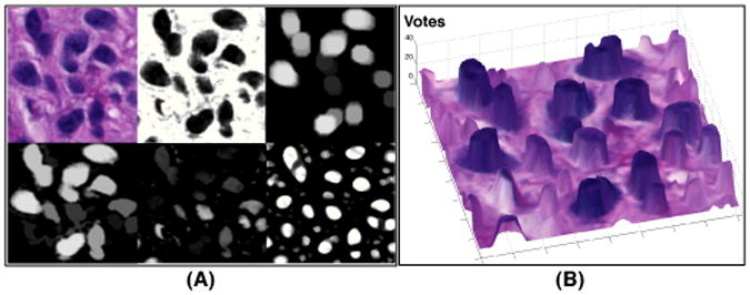 Fig. 2