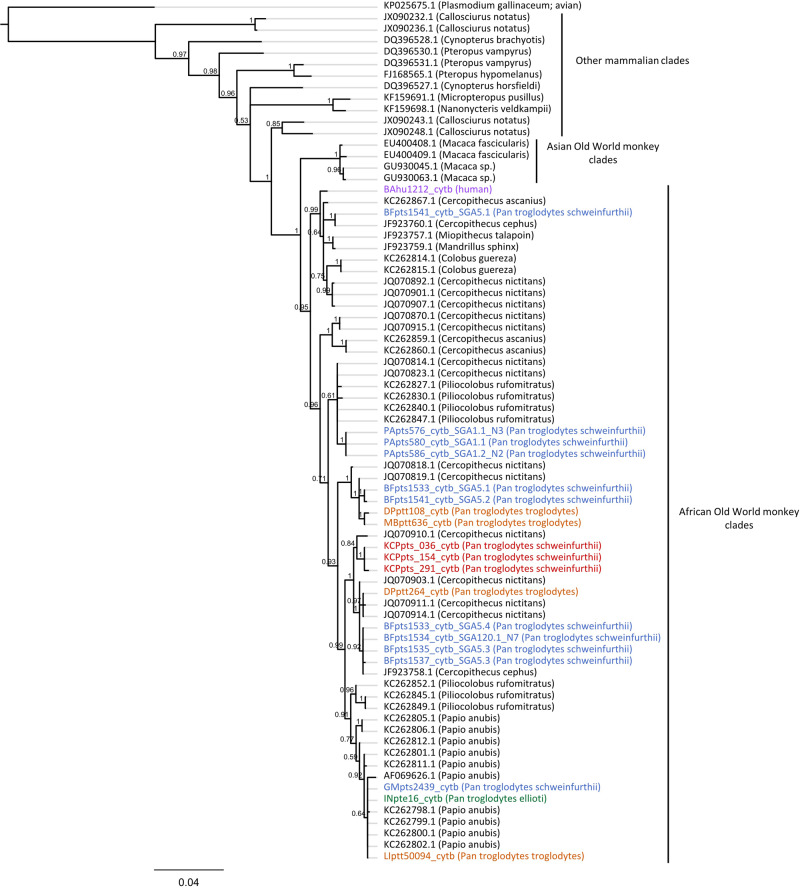 Fig. 3