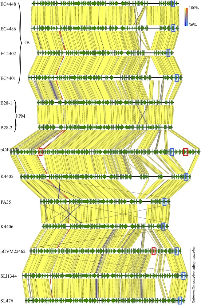 Figure 7