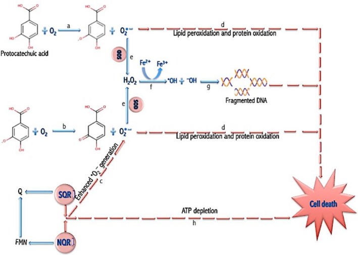 Figure 7