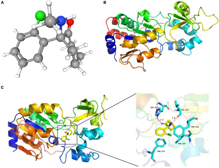 FIGURE 3