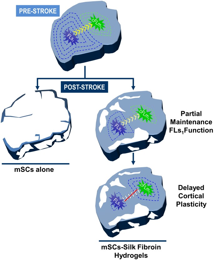 FIGURE 6