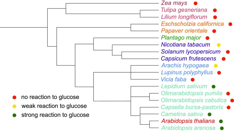 Figure 11.