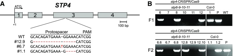 Figure 6.