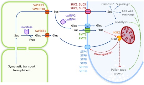 Figure 12.