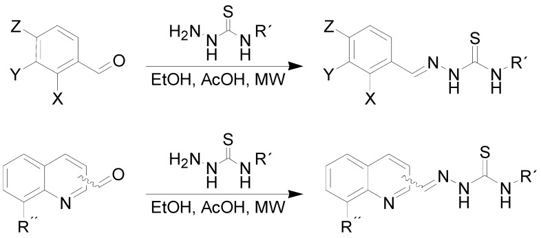 Scheme 1