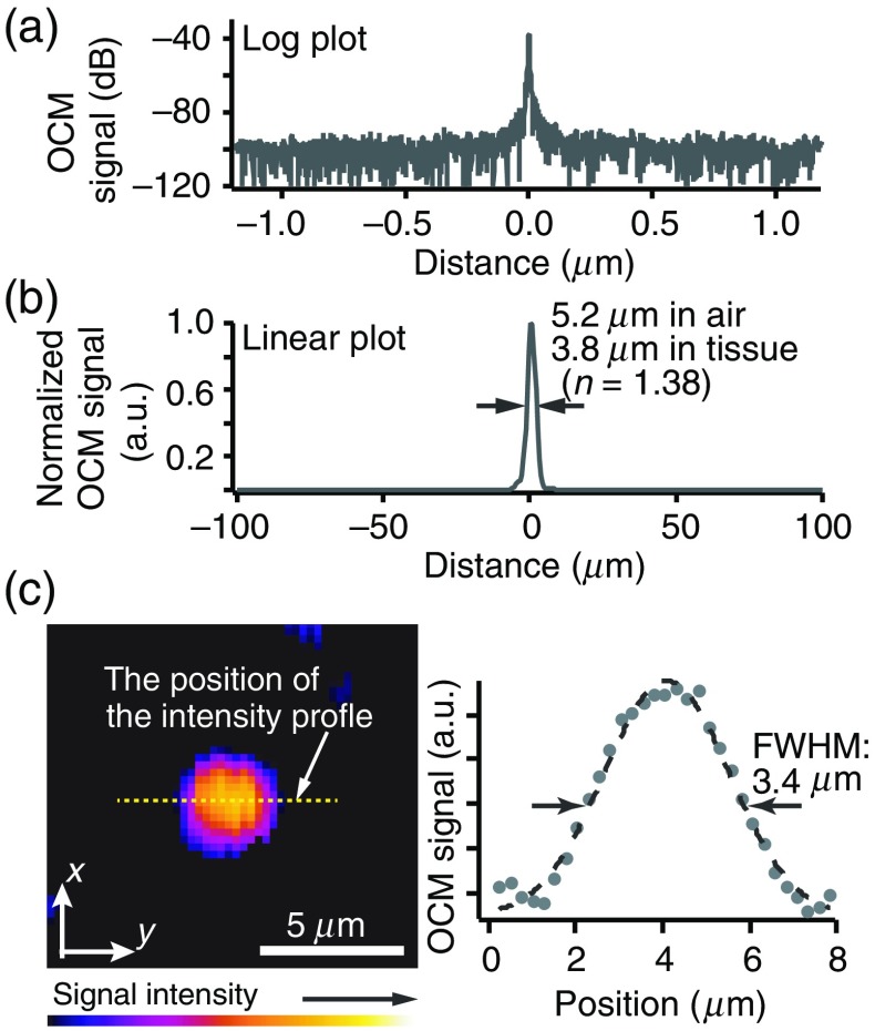 Fig. 2