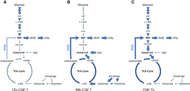 Figure 7