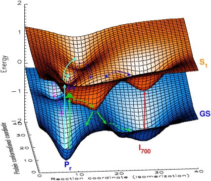 FIGURE 9