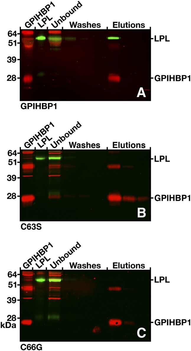 Fig. 9.