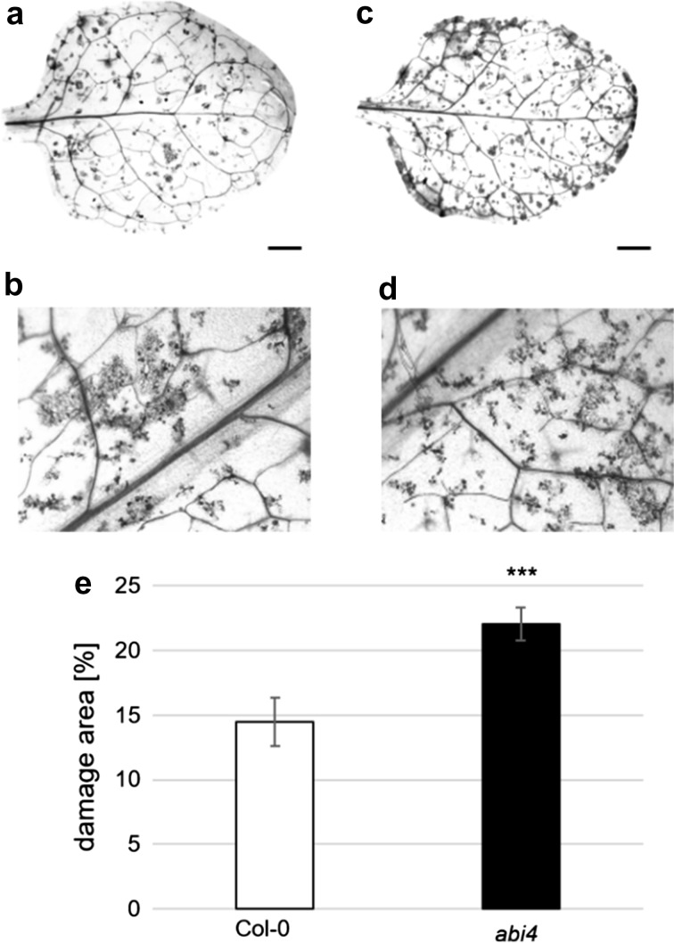 Fig. 2