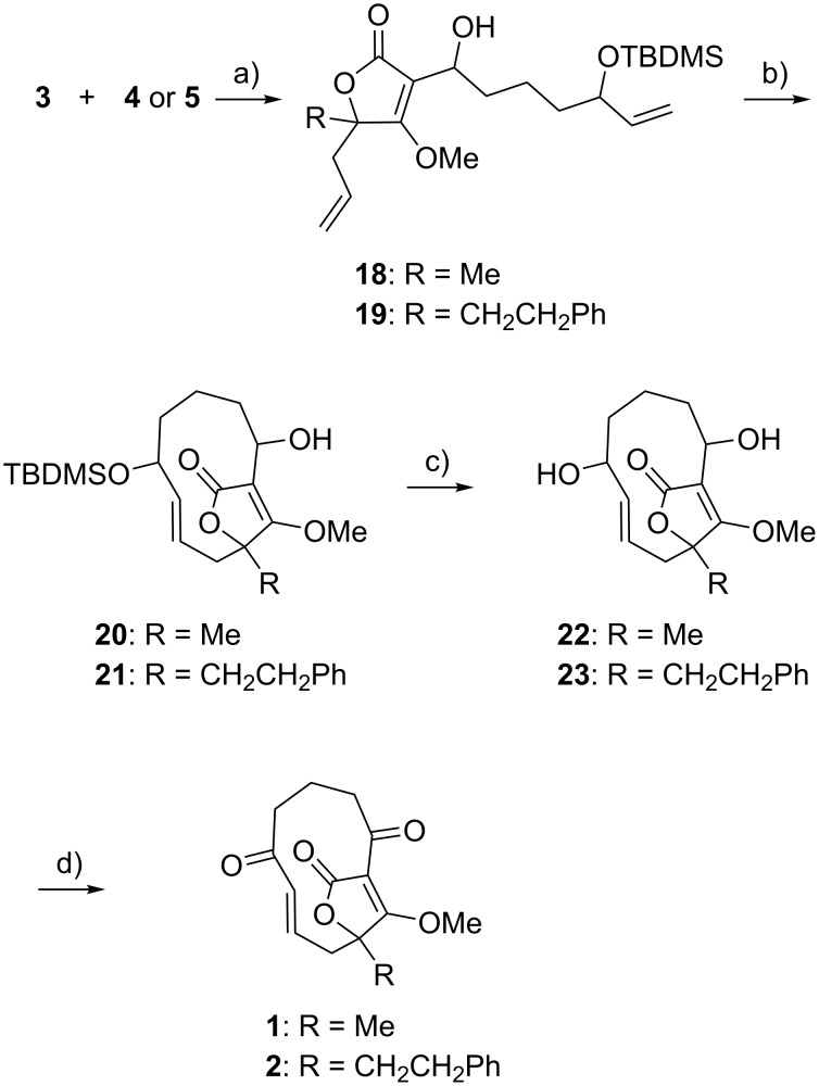 Scheme 4