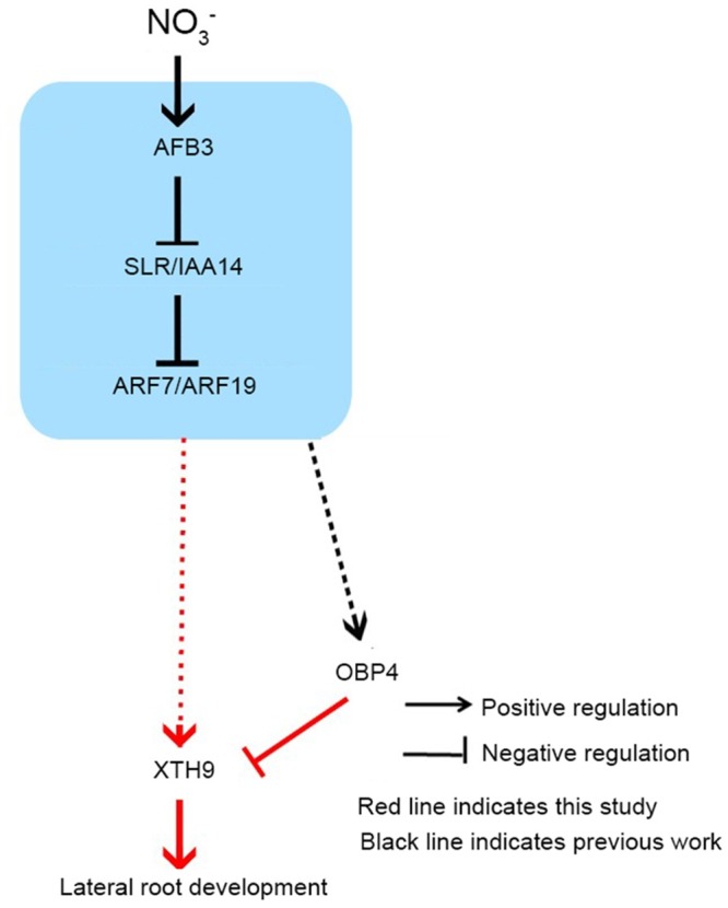 Fig 10