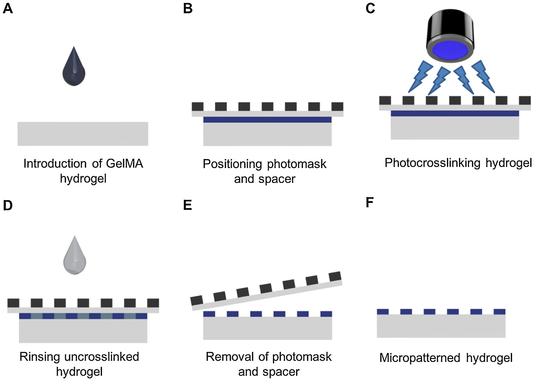 Fig. 2 –