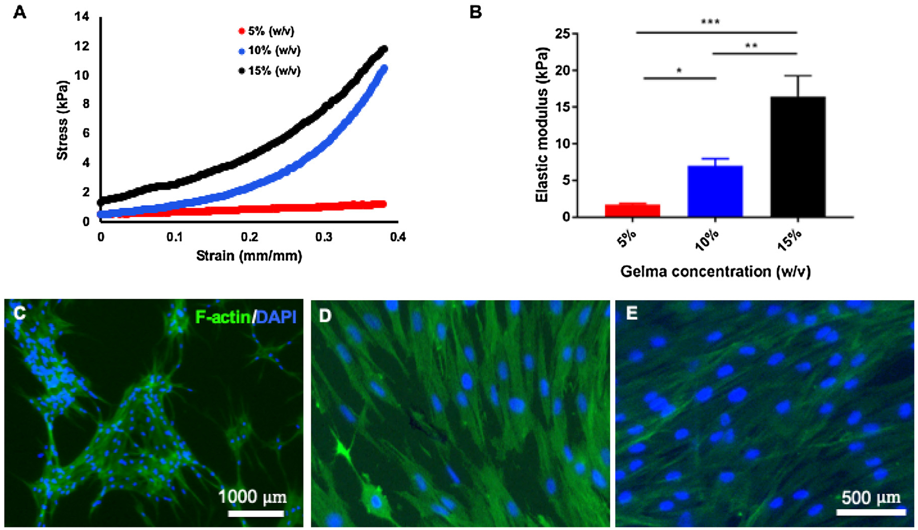 Fig. 1 –