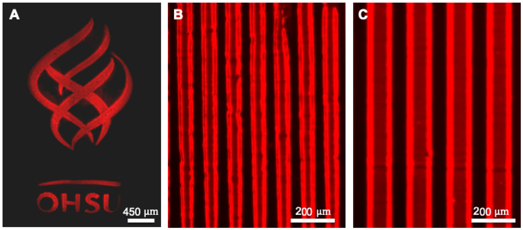 Fig. 3 –