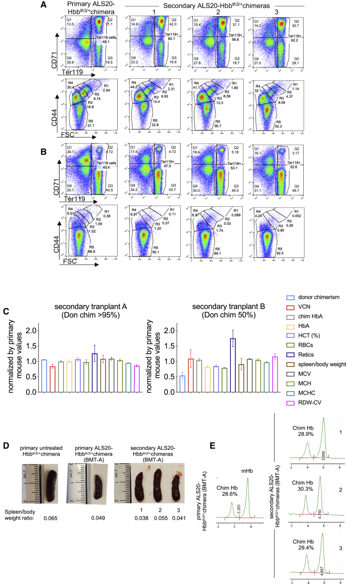 Figure 6