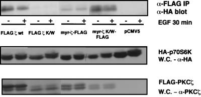 FIG. 6