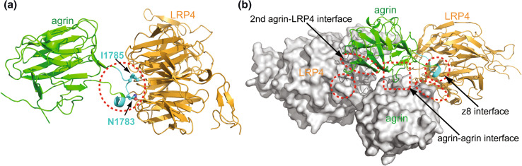 Fig. 3