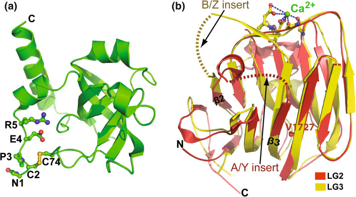 Fig. 1