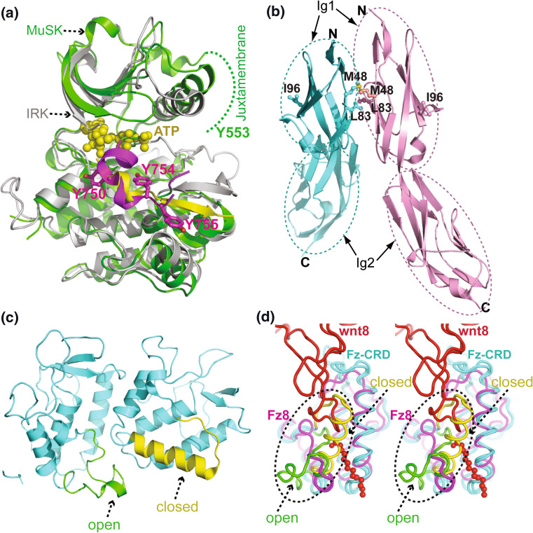 Fig. 2