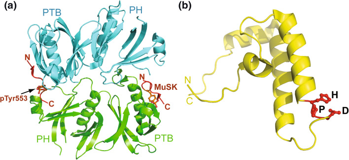 Fig. 4