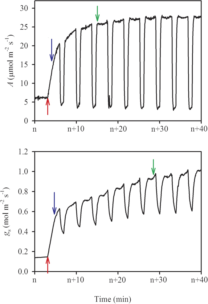 Figure 6