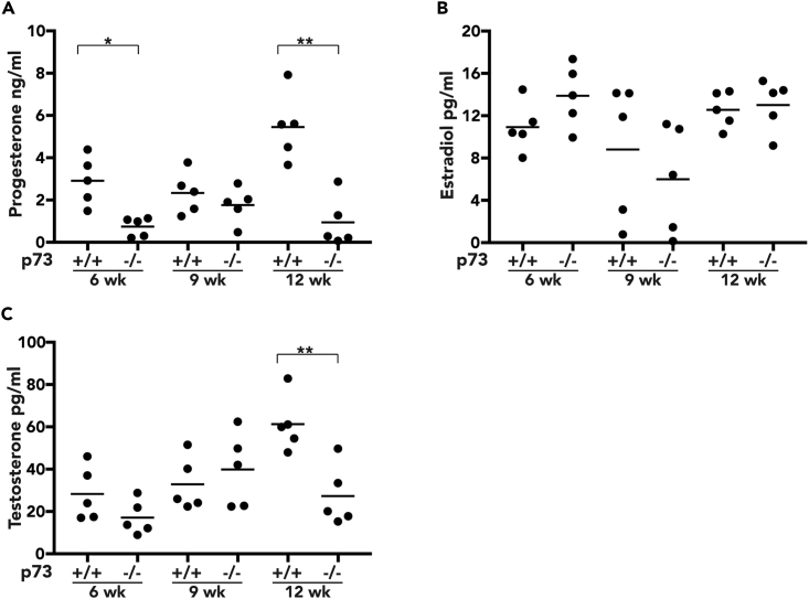 Figure 2